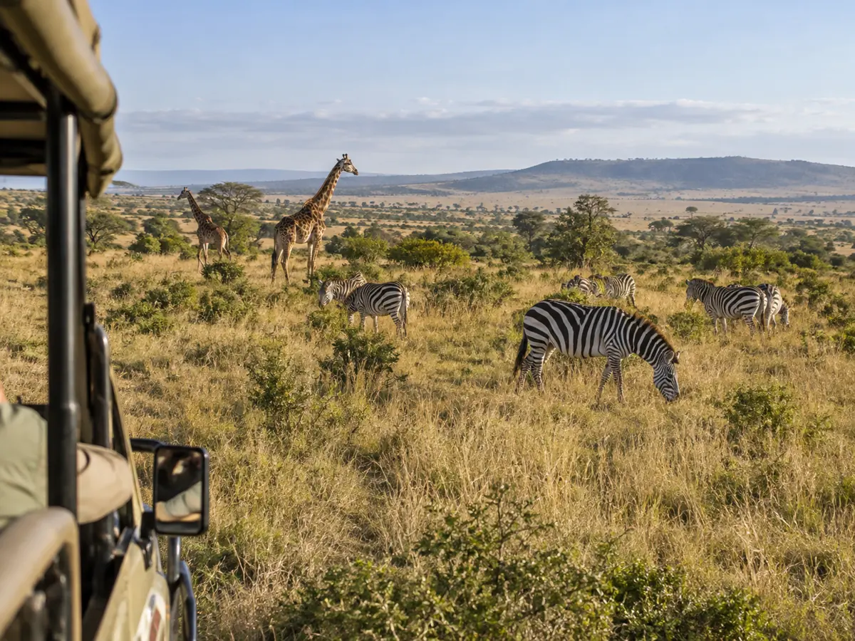 Maasai Mara wildlife on a three-day safari